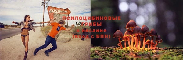 дмт Абаза