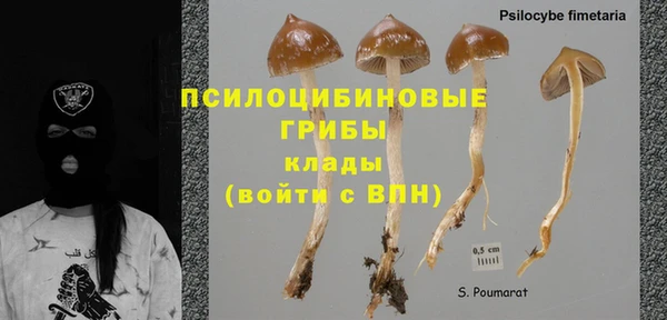 амф Абинск