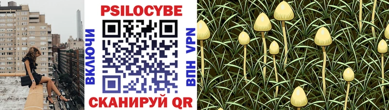Галлюциногенные грибы GOLDEN TEACHER  Александров 